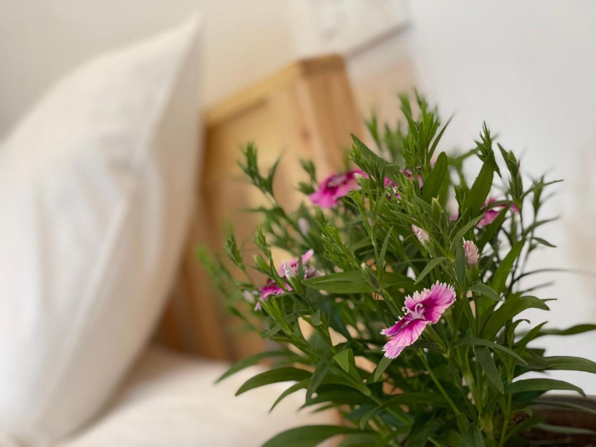 Pleiku Homestay מראה חיצוני תמונה