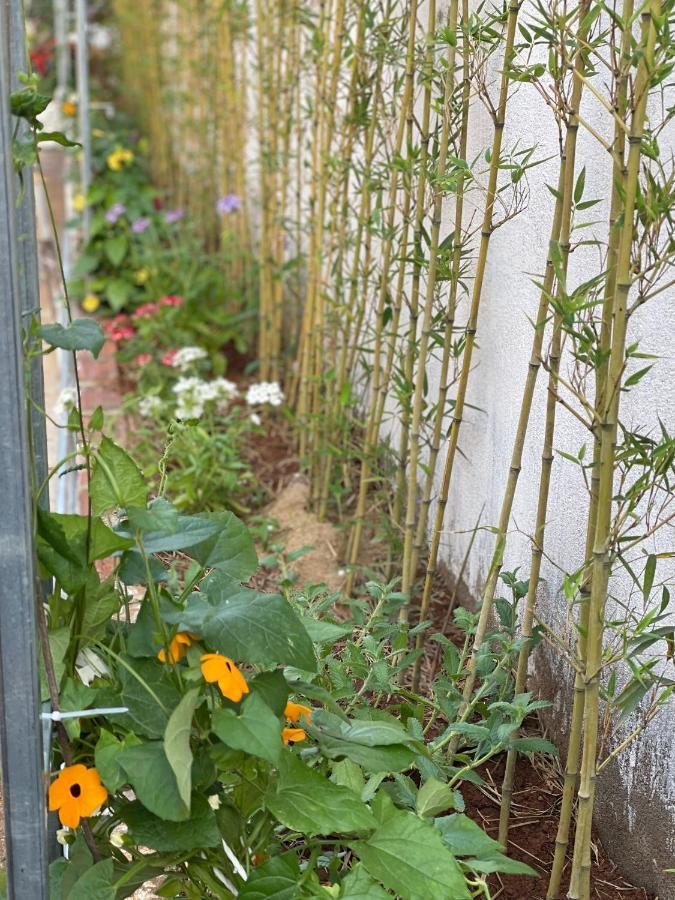 Pleiku Homestay מראה חיצוני תמונה