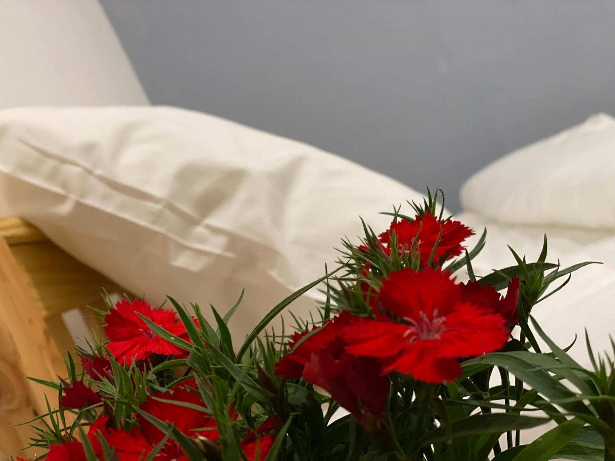 Pleiku Homestay חדר תמונה