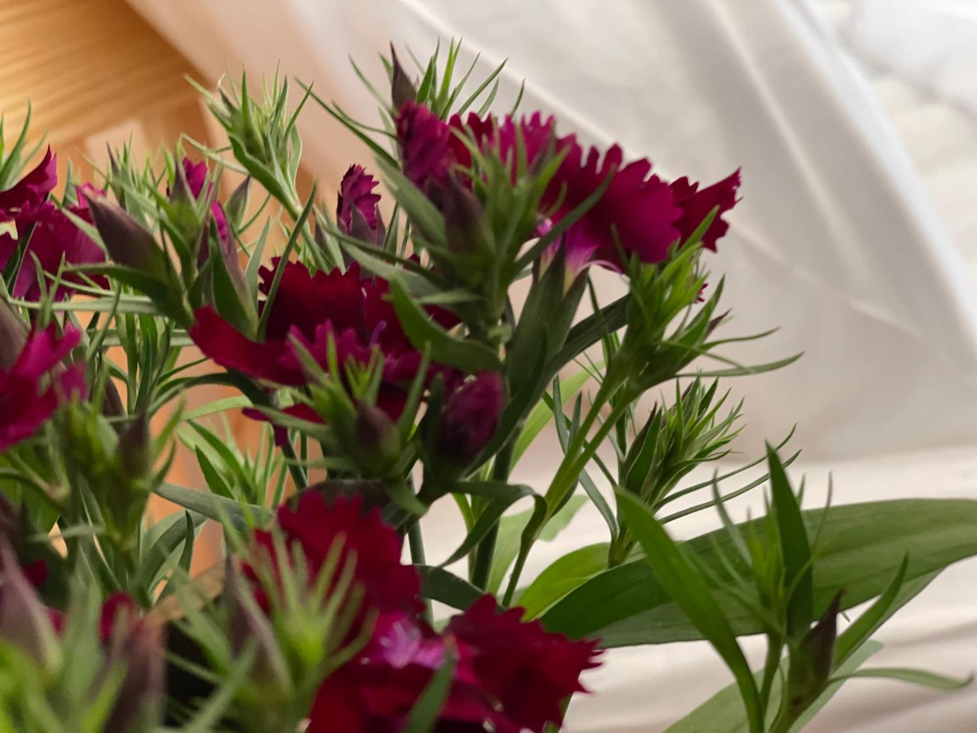 Pleiku Homestay חדר תמונה